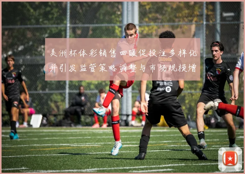 美洲杯体彩销售回暖促投注多样化并引发监管策略调整与市场规模增长