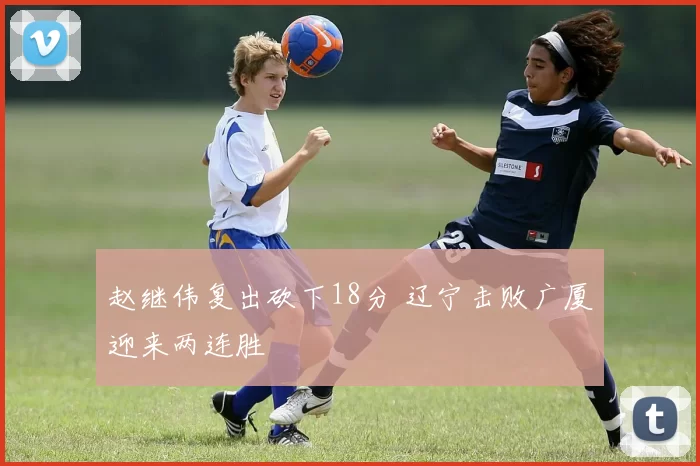 赵继伟复出砍下18分 辽宁击败广厦迎来两连胜