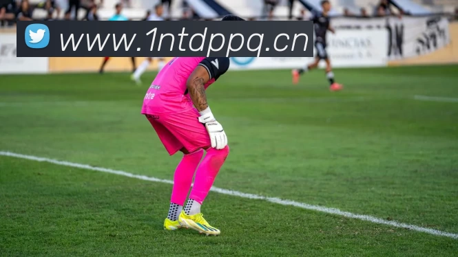 开云·kaiyun体育(中国)官方网站 - 登录入口服务体系